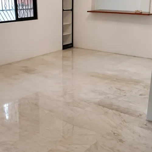 Services 3 Marble Floors before