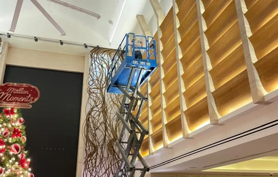 Timber Ceiling Installation